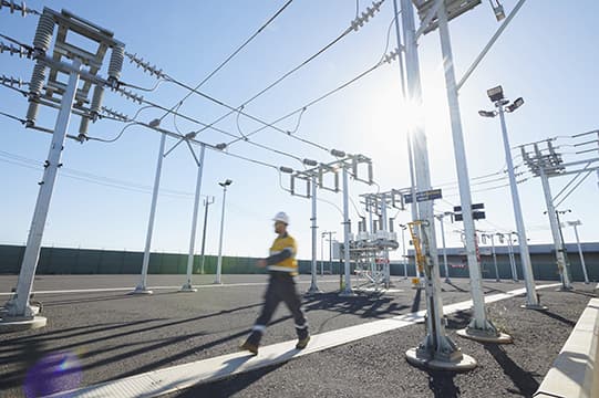 Liney walking at a substation